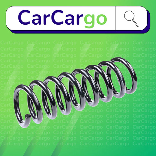 Rear suspension coil spring - suspension,
