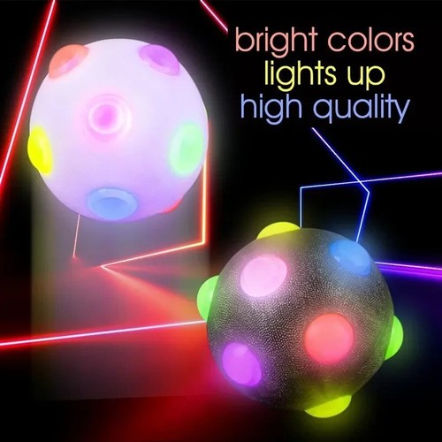 Pet dog light bouncing - up,