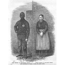 Male & Female Victorian Prisoners - Antique Print 1856
