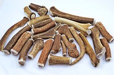 Scottish Stag Horn Antler Dog Chew Naturally Shed Sustainable Dog Antler-LARGE