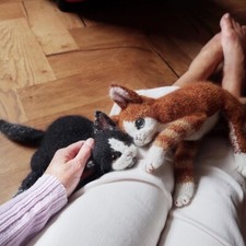 Kitten Knitting Kit (a Pair)