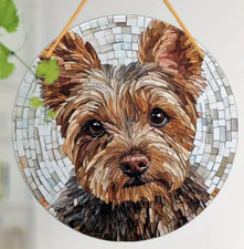 YORKIE Yorkshire Terrier DOG