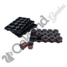 Plant pots with carry - plant,