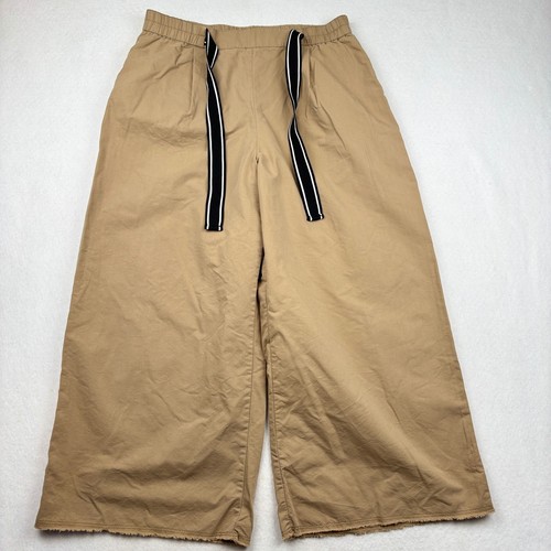 Zara wide leg pants - pants, womens