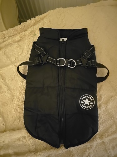 Dog black warm - black,