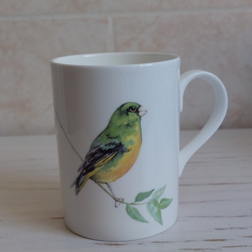 Roy kirkham greenfinch bird - greenfinch,