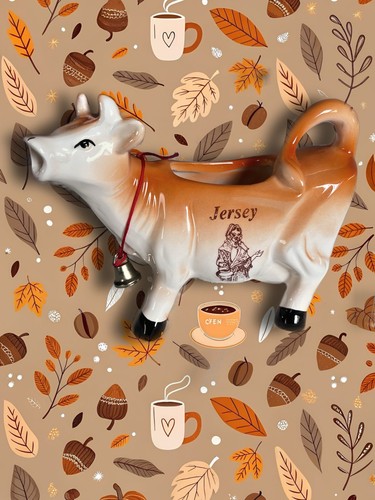 Vintage novelty ceramic jersey - novelty,
