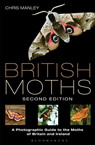 British moths second edition - british, moths: