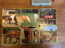 Win-el-ware Ponies Horses