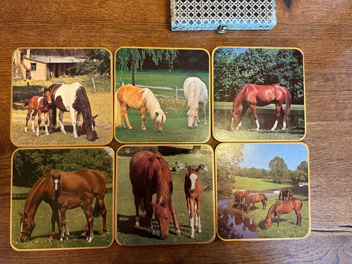 Win ware ponies horses - ponies,