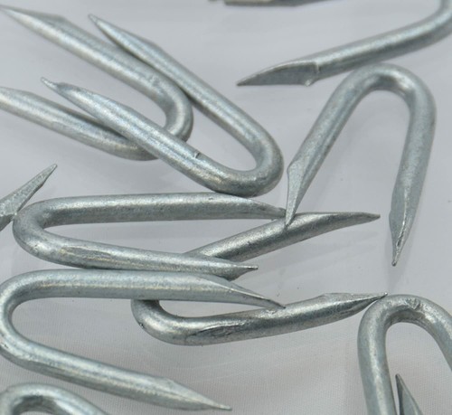 Galvanised staples nails - u,