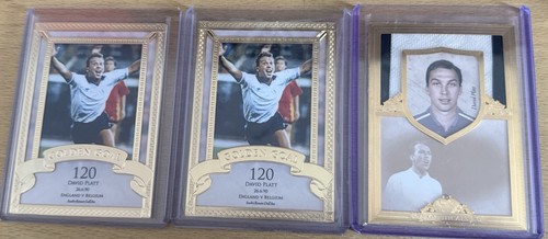 David platt card bundle - david,