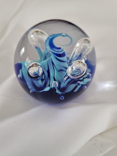 Blue mini moonflower caithness - moonflower,