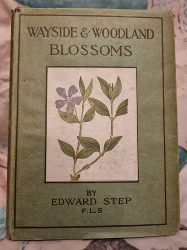 Wayside woodland blossoms - &,
