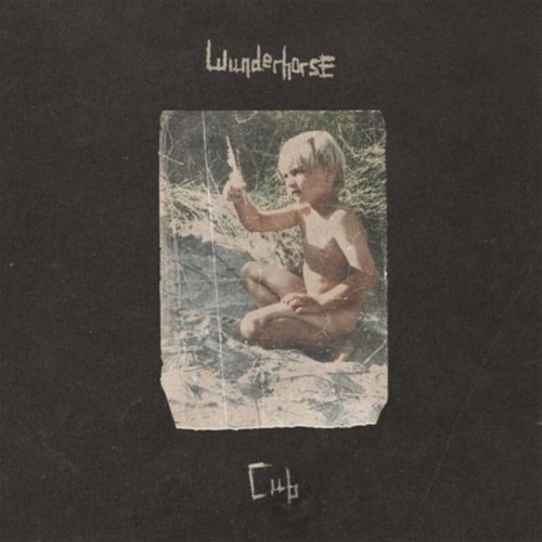 Wunderhorse cub vinyl - wunderhorse,