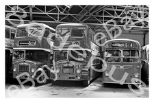 Bus Photograph EASTERN