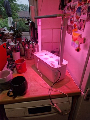 Pods hydroponics growing - hydroponics,