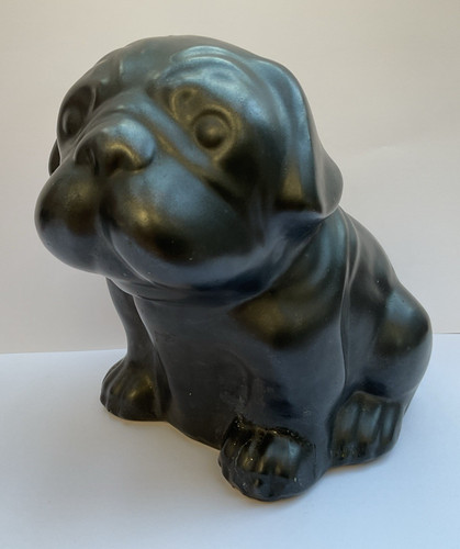 Wilmot bull dog - dog,