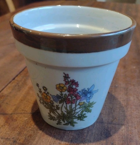 Small porcelain plant pot - plant,