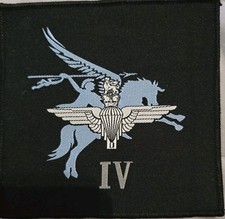 4th Battalion the Parachute