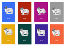 Shetland Sheepdog Sheltie 2026 Diary A5, A6, A4 Dog Show, Normal, Appointment