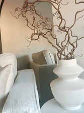 Twisted Hazel Decorative Dried