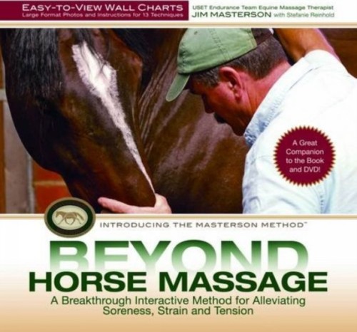 Beyond horse massage - massage, wall