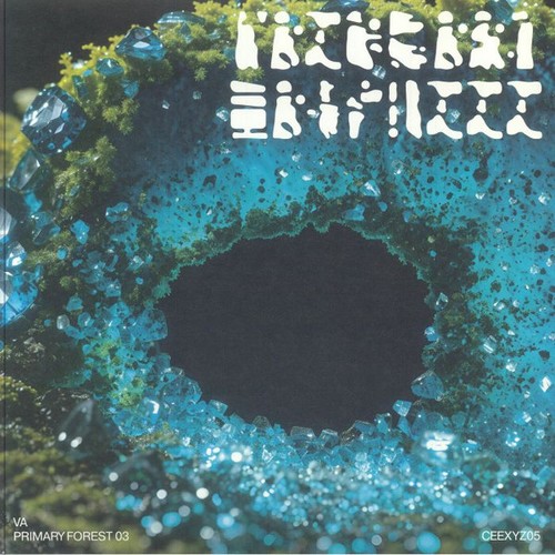 Various primary forest - forest, 03