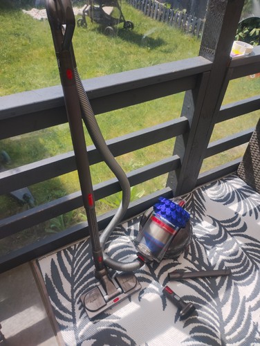 Dyson cinetic big ball - cinetic, animal