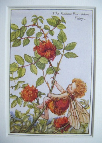 Vtg flower fairies print - vtg, &
