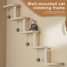 Wall Mounted Cat Climbing