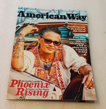 American Airlines "American