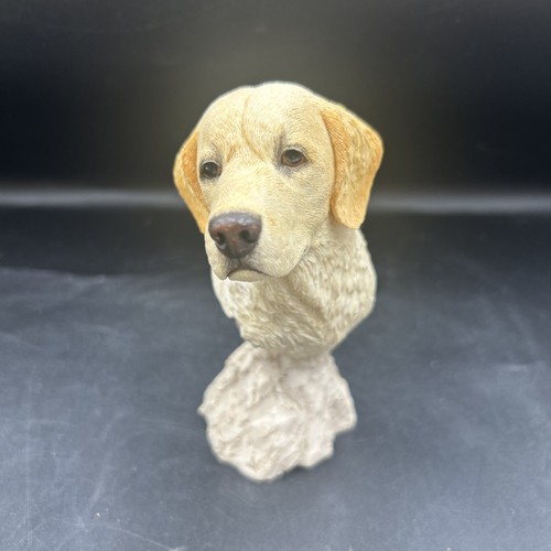 Sherratt simpson white - simpson,