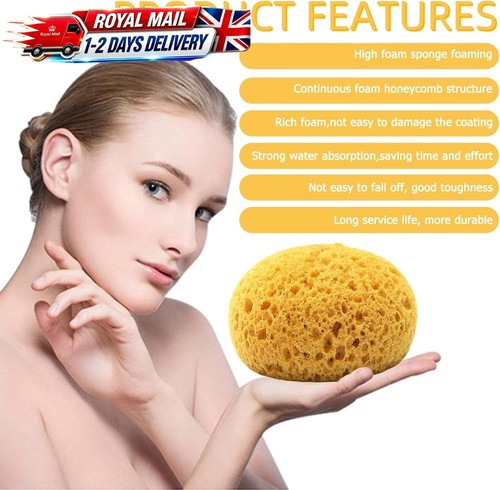 2pcs natural sea sponge - natural,
