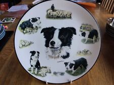 LARGE 10” BORDER COLLIE DOG PLATE - TYKE - ALL IN A DAY’S WORK - DEREK WARD