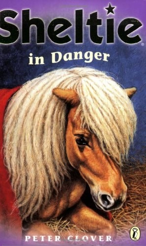Sheltie danger peter - in,