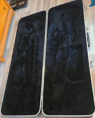 Bass guitar case - bass,