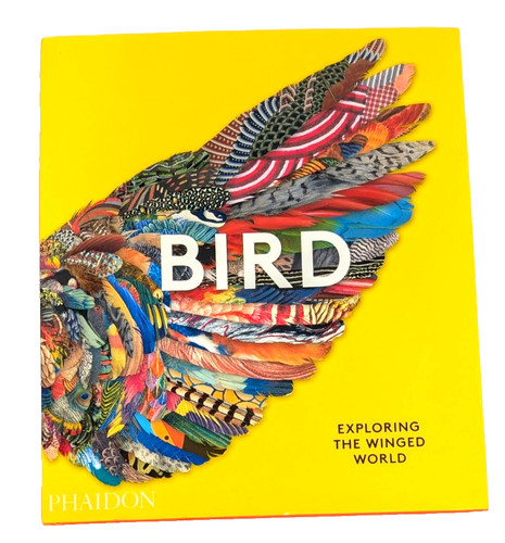 Bird exploring the winged - bird,