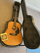  12 String Acoustic Seagull
