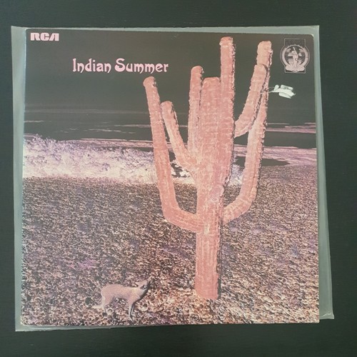 Indian summer - indian,