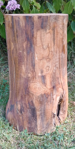 Tree stump seat log - , table