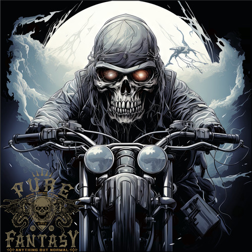 Skull biker motorcycle - biker,