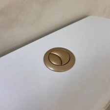 Matt Brass Dual Flush Button