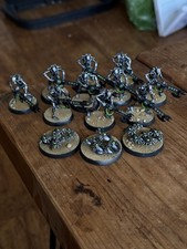 Warhammer 40k Necron Warriors
