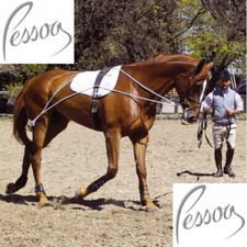 GENUINE GFS PESSOA LUNGE TRAINING SYSTEM PONY/HORSE LUNGING AID