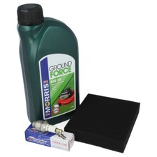 Air Filter, Oil, Spark Plug