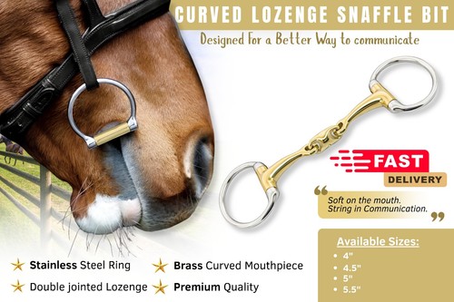 Eggbutt snaffle bit double - bit,