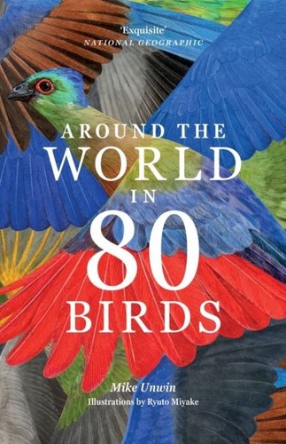 Around the world birds - in,