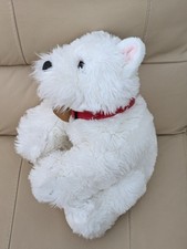 Keel Westie Heather Puppy Dog