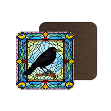 Cute Blackbird Wild Bird